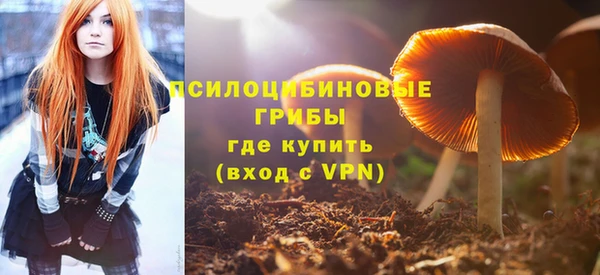 ешки Арсеньев