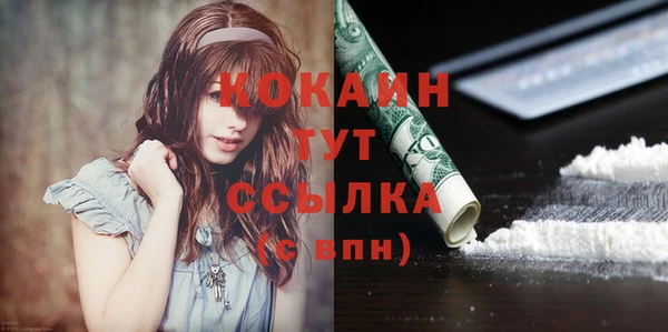 ешки Арсеньев