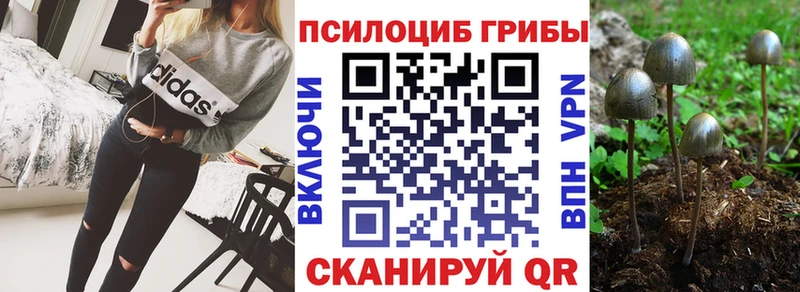 Галлюциногенные грибы мухоморы  даркнет состав  Шацк 